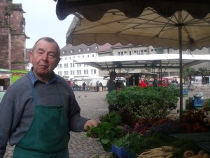 Frische Minze, taufrisch, aus der Region (J.Lay)