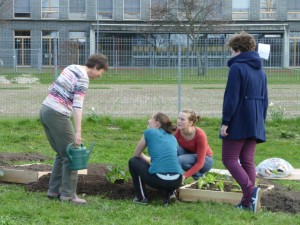 Planungstreffen Essbares Rieselfeld @ Glashaus Stadtteiltreff Rieselfeld | Freiburg | Baden-Württemberg | Deutschland