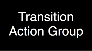transitionactiongroup-300x168