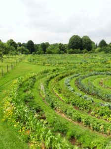 bauerngaerten2_agronauten-kulturacker