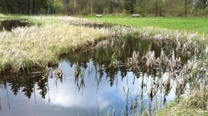 frau-holle-teich