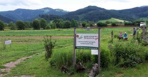 Mitgärtnern bei solidarischer Agrikultur im Dreisamtal @ Lebensgarten Dreisamtal